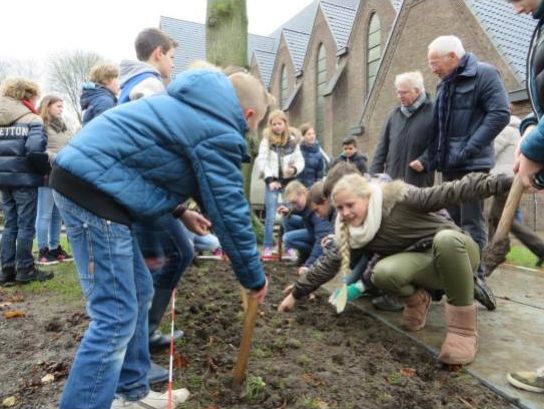 2014 12 10 bloembollen planten2