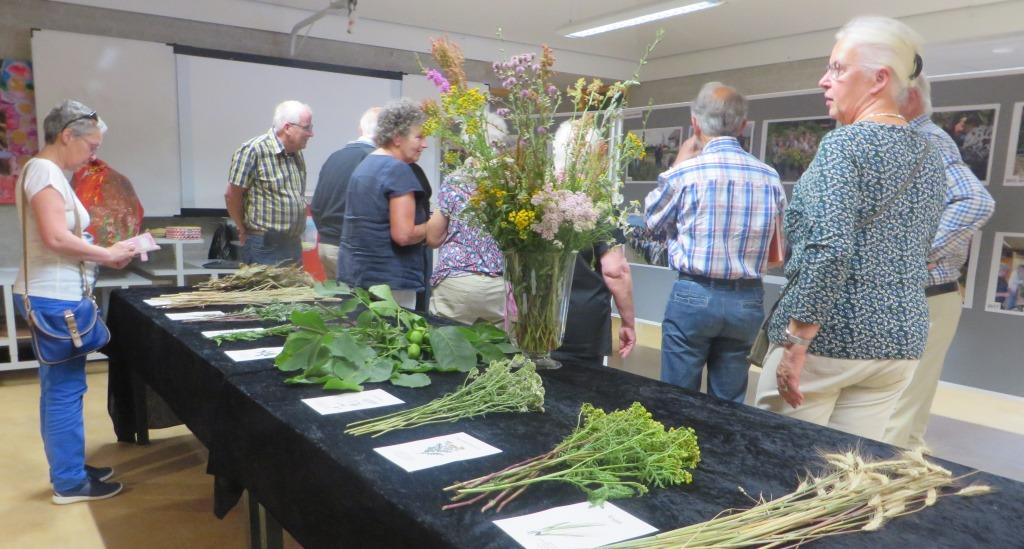 2019 07 03 6286 Veel belangstelling voor de kleine tentoonstelling over 10 jaar kroedwès in Horn