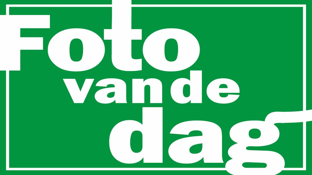 foto van de dag kl2