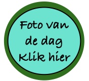 afbeelding 2023 09 08 113317107