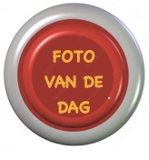 Button foto van de dag 202403