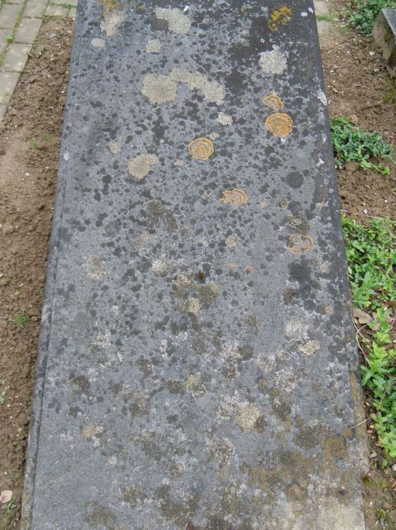 1Workshop en Versieren wegkruisen 12 april 2025 1a